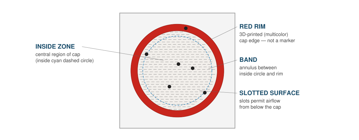 Top-down diagram of the assay arena showing its inside zone, band, red rim, and slotted surface.