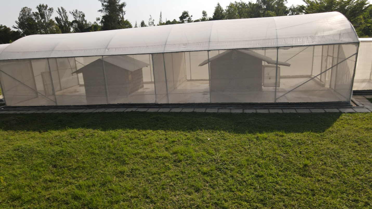 Two small experimental huts stand inside separate compartments of a large screened enclosure at KEMRI in Kenya.